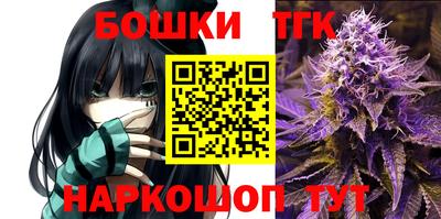 jwh Моздок