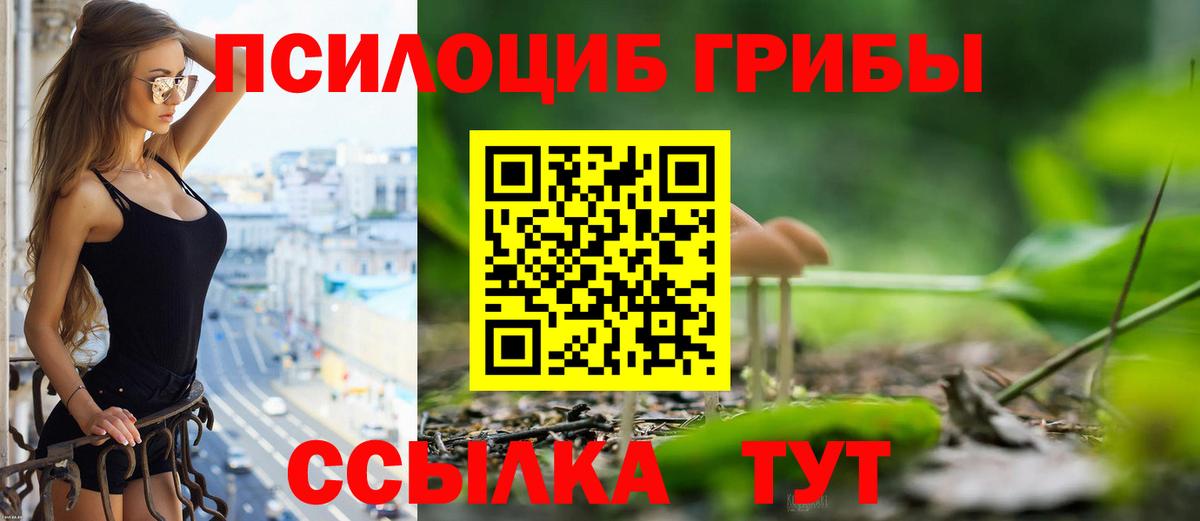 Псилоцибиновые грибы Cubensis  Вход с VPN  Шатура 