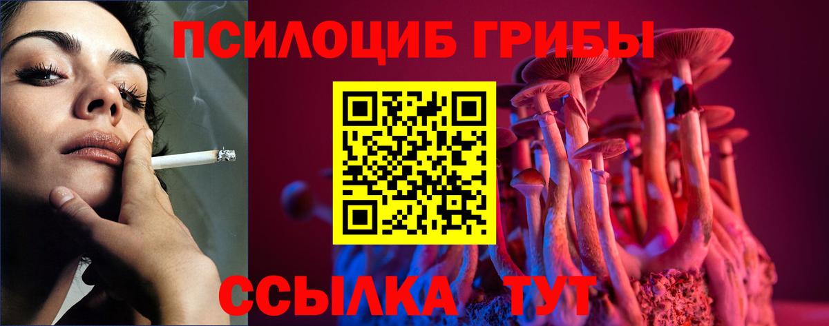 Псилоцибиновые грибы GOLDEN TEACHER Шатура